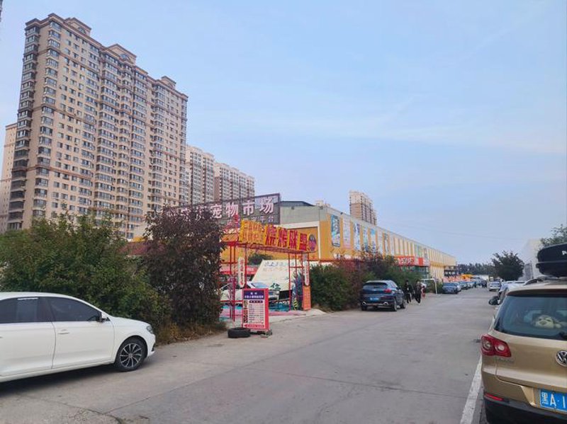 营口商贸部的发展及其影响